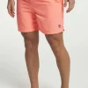 Essential SwimShorts